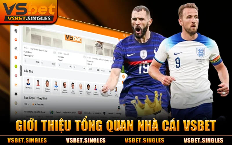 Giới Thiệu Tổng Quan Nhà Cái VSBET